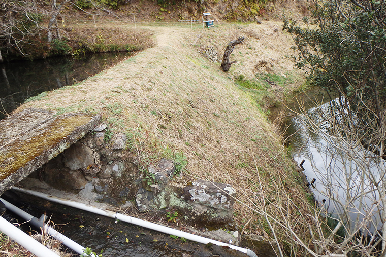 ため池堤体